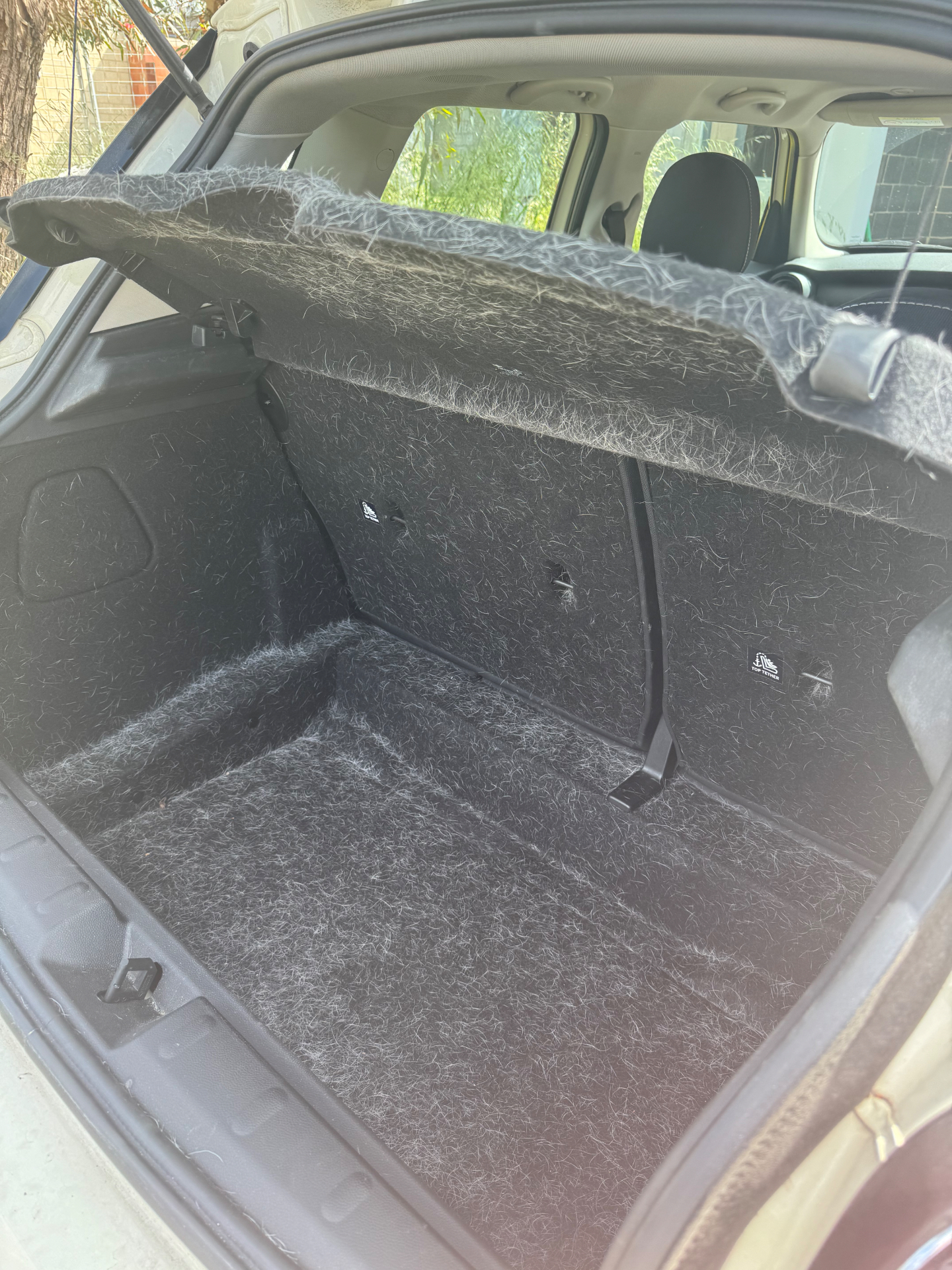 Boot — deep pet hair removal before